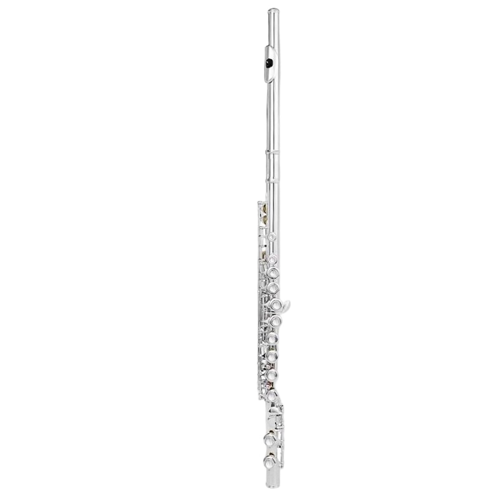 Flauto Traverso Flauto Placcato Argento Tono C 16 Fori Chiusi Disposizione Chiave E Strumenti Musicali Professionali(Type 2)