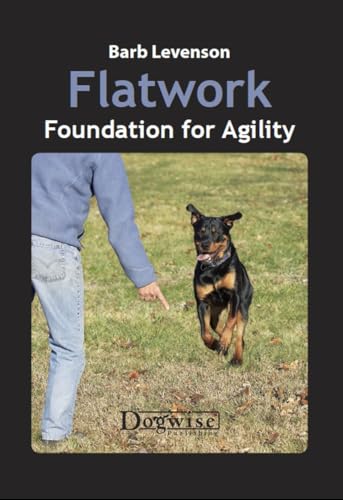Flatwork: Foundation for Agility view 2