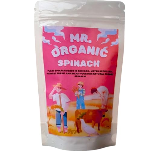 Mr.Organic Spinach Seed for Home Gardening (4000 To 5000 Seeds) 7...