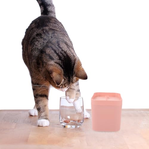 Dispensador automático de agua para gato en forma de flor miniatura 7