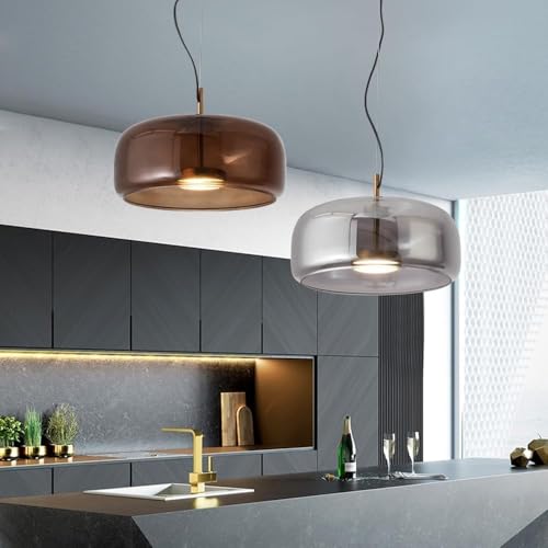 Glass Lampshade Pendant Light with E26/E27 Base Lamp 12.9 In Bedroom Decorative Hanging [3]