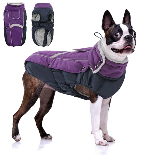 CITÉTOILE Hundemantel Wasserdichter, Hundejacke Winddichte Wintermantel Hund Outfit mit Reflektierender Streifen und Reißverschluss, Lila, M