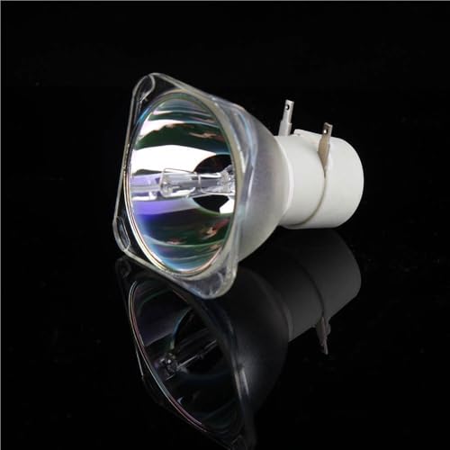Lampe projecteur BL-FU195C pour réparer un Optoma HD142X à écran noir