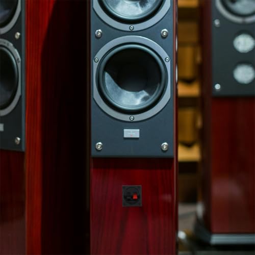 Toddmomy Conectores de Bornes de Conexión de Audio para Altavoces 2 Unidades Terminales Metálicos Cuadrados Negros Accesorios para Cajas Acústicas Uso en Cine en Casa y Conferencias - imagen 5