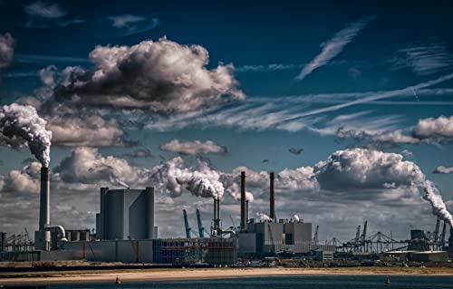 LHJOYSP Puzzle niña 1000 piezasbelleza Natural,ecología,fábricas,75x50cm Cover