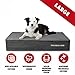 The Dog’s Bed, Premium Plush Orthopedic Waterproof Memory Foam Dog Beds, 5...