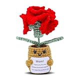 NSSHEL Carnation Handmade Knitted Bouquet Mini Crochet Plant Potted Artificial Carnation Flower Crochet Bouquet Knitted Kit for Mother's Day Decoration Supplies Including Base (Red, 1pcs)