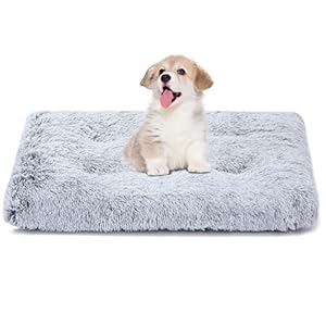 Sycoodeal Dog Bed,Crate Pet Bed Kennel Pad,Soft Plush Washable,Comfortable Dog Bed,Suitable for Medium Dogs (Grey)