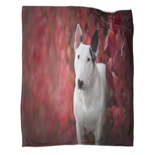 Plaid Bull Terrier 3D en microfibre 150x200cm couverture automne - 3