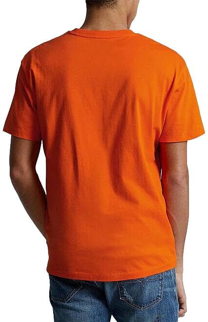 Image of Polo RL Men's Classic Fit V-Neck T-Shirt