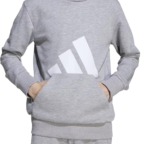 adidas Mixte Enfant Essentials Big Logo Hoodie Sweatshirt, Medium Grey Heather/White, 11-12 Years