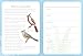 Birds of North America: Undated Weekly and Monthly Planner