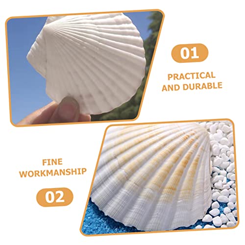 Manualidades, Toy plato del buen comer manualidades Marca CAXUSD (2)