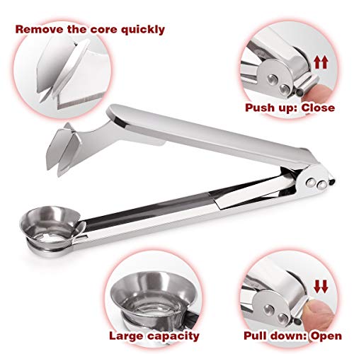Nurch Plum Pitter Tool, 304 Stainless Steel Plum Stone and Corer Pitter, Ergonomical and Portable Plum Pitting Tool for Kitchen, Great for Cherry, Jujube, Red Date, Hawthorn