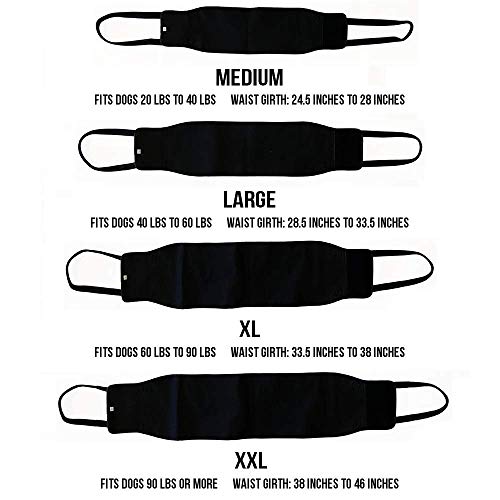 Max And Neo Dog Lift Support And Rehab Harness For Dogs With Weak Rear Legs - We Donate A Harness To A Dog Rescue For Every Harness Sold (Medium, Black) #TOP3
