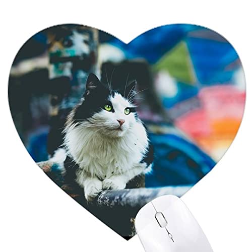 Tapis de souris coeur chat paresseux photo pour bureau