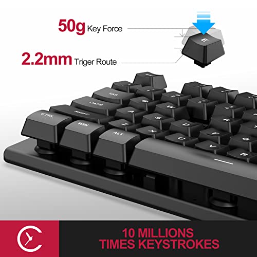 NPET K10V1 Wired Computer Keyboard, Plug & Play Full-Size with 12 Multimedia Keys, Spill-Resistant Design, 6.2ft USB Cable, for PC/Laptop (Black)