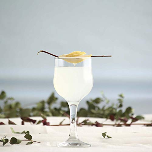 LAV 6X Clear 240ml Nevakar White Wine Glasses - Small Glass Red Rose Long Stem Cocktail Party Drinking Goblet Gift Set