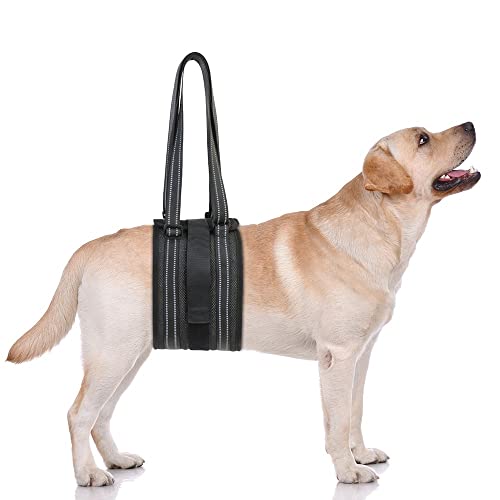 Imbracatura Supporto per Cani,Pettorina di