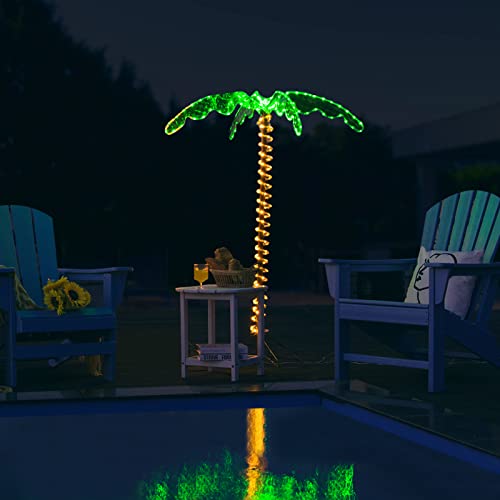 The 5 Best Rope Lights For Palm Trees