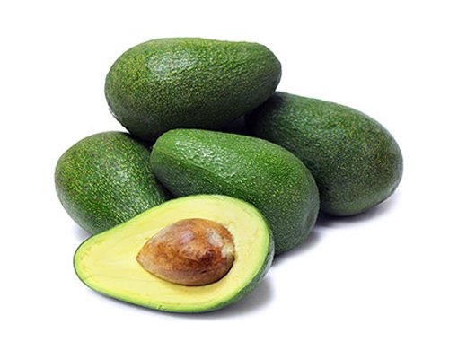 Fuerte Grafted Avocado Tree - Cold Hardy - Live Avocado Tree #TOP7