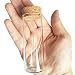 10pcs 40ml Small Mini Glass Bottles Vials Jars Glass Test Tube with Cork Stoppers 40ml 30x80mm(1.18x3.15inch)