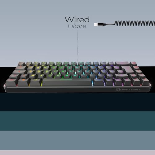 EMPIRE GAMING - K208 Clavier Gamer Filaire TKL Compact (Français AZERTY) 69 Touches RGB - Câble USB Type C détachable Plug & Play - PC/PS4/PS5/Xbox - 23 Touches Anti-Ghosting (Noir) – Image 3