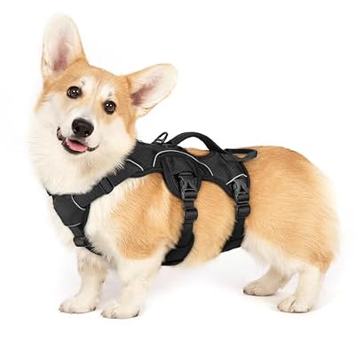 rabbitgoo Escape Proof Dog Harness for Small, No Pull with Lift Handle