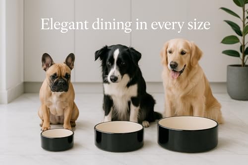 Flamingo Hundenapf Keramik – rund – 900ml – schwarz & weiß – spülmaschinenfest – für mittelgroße Hunde Dog Bowl Rocky