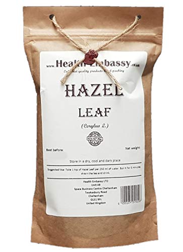 Hazel Leaf (Corylus avellana)