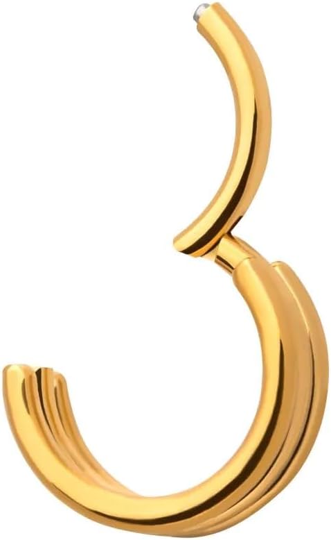 Pierced Owl 16GA 24KT Gold PVD ASTM F-136 Implant Grade Titanium Triple Stack Hinged Segment Clicker Ring - Image 3