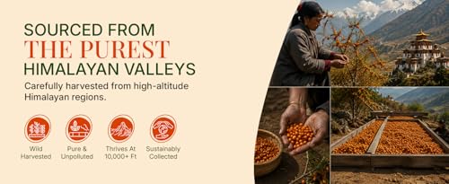 Image of First Bud Organics Sea Buckthorn Berries, Rich in Omega 3,6,7,9, Vitamin C & E, Boosts Immunity, 50g