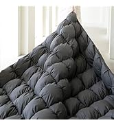 KAKABELL All Season Ultra Soft and Cozy Noiseless Goose Down Feathers Fiber Comforter Cal King Size
| KAKABELL Ultra 417clk%2B6ERL. AC SR166,182