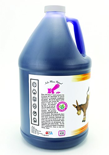 Kelco Kick Ass Clean Shampoo Gallon #TOP3