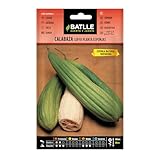 Semillas Batlle COURGE Eponge, Orange...