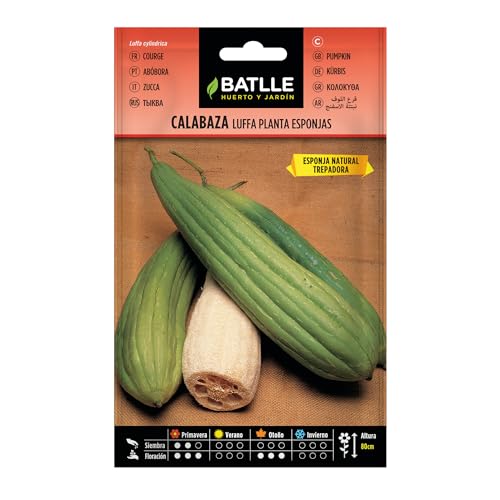 Semillas Batlle Calabaza LUFFA planta Esponjas