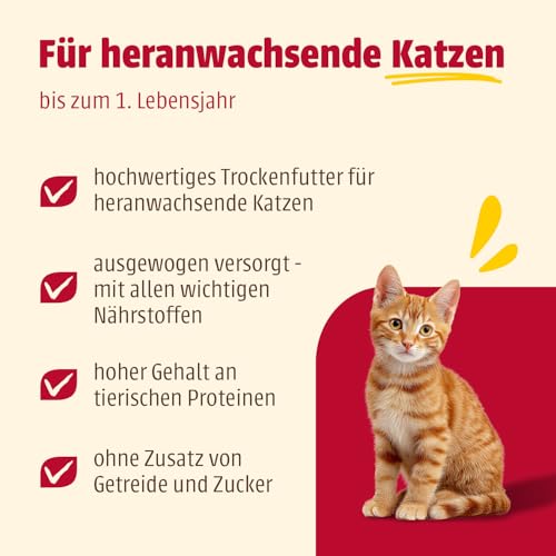 animonda Carny Katzen Trockenfutter für Kitten mit Huhn (1 x 350g), Kittenfutter trocken für wachsende Katzen ohne Zucker und Getreide mit Hühnerfleisch und Taurin 2