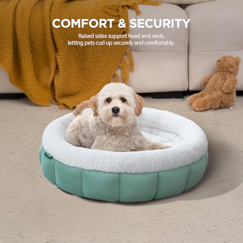 BALANCE Cat Beds for Indoor Cats, Washable Round Cat Bed, Cute Kitten Bed with Anti-Slip Bottom for Kitty and Puppy, 23 Inches, Granite Green - Image 3
