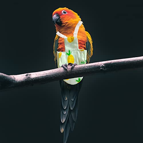 Dnoifne Bird Diapers Flight Set with Green Leash, Bird Diaper with Cute Pattern, Washable and Reusable Parrot Nappy, Pet… - Image 5