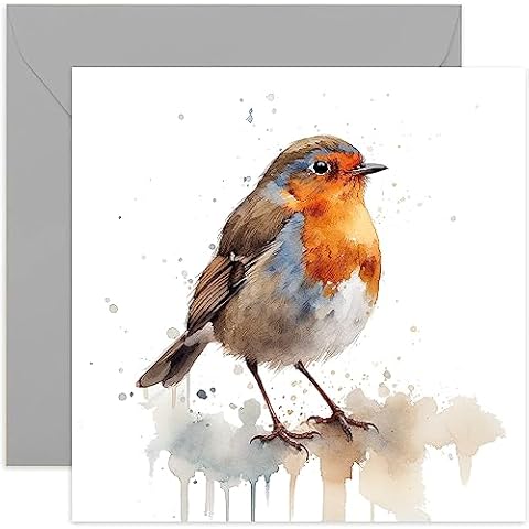 Old English Co. Watercolour Robin Birthday Card Cover
