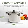Ecolution Stainless Steel Stock Pot, Encapsulated Induction Ready Cooking Pot with Glass Lid, Oven Safe, Dishwasher Safe Soup Pot, 8-Quart #4