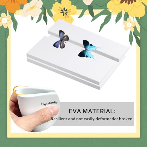 Image of Butterfly Specimen Kit Includes pins, mounting Board, Spreading Tools, Display case, Labels, Forceps, Preserving and showcasing Butterfly specimens. (Black Photo Frame Tool Set)