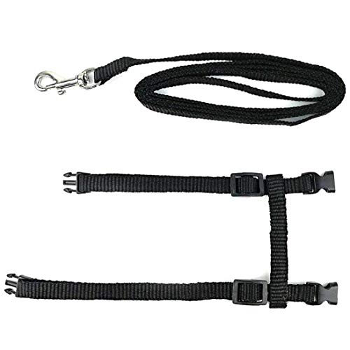 Chats Harnais Harnais en Nylon Chaton Laisse Sangle De Ceinture Réglable Harnais Cat Lead Set Noir Cover