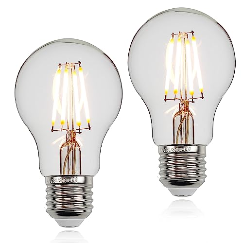 Tianfan 2-Pack Led Bulbs A60 Edison Bulb 4W 2700Kelvin Warm White Vintage Decorative Light Bulbs (Transparent)
