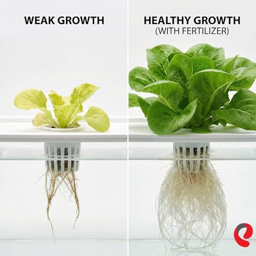 Image of Erwon Liquid Fertiliser for Hydroponic Plants I Essential All Nutrients for Overall Growth | For Leafy Greens, Herbs, Vegetables & Flowers I 1000 ml