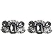 Clips De Zapatos De Cristal Elegantes De 2 Piezas - Moda Clear Rhinestone Zapatos Hebillas Zapatos Decoraciones para Zapatos De Novia