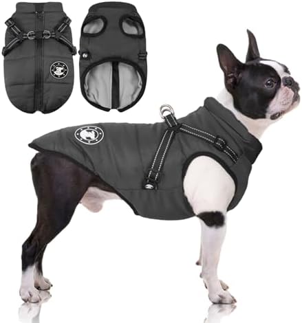 LUOWAN Hundemantel für kleine Hunde, Hundemantel mit Geschirr, Reflektierende Outdoor-Hundeweste, Winter Hundejacke für Katzen, Welpen, kleine, mittlere Hunde