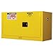 Benchtop Storage Cabinet w/Self-Close Doors (17 gal)