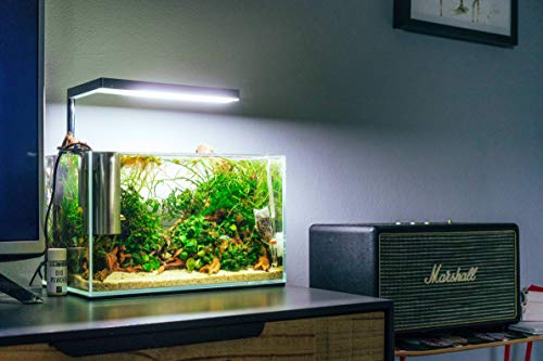 ONF Flat Nano 水槽 ライト 30cm の商品画像 5