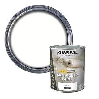 RONSEAL AMPWM750 Anti Mould Paint White Matt 750ml